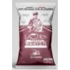 125G CHIPS OIGNONS TERRE BZH
