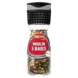26G MOULIN 5 BAIES DUCROS