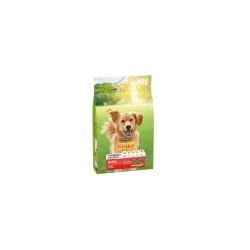 3KG FRISKIES CHIEN BOEUF