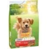 3KG FRISKIES CHIEN BOEUF