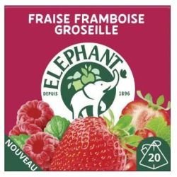 20ST INF.FRAIS.FRAMB.MENT.ELEP